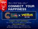 Ｓ　社外ナビ　ＢＴ接続可能　バックカメラ　ＥＴＣ　トヨタセーフティセンス　レーダークルーズＣ　ＬＥＤオートライト　インテリキー　プッシュスタート　Ａストップ　純正１５インチアルミ（52枚目）