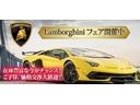 ＬＰ７５０－４スーパーヴェローチェロードスター　正規ディーラー車　全世界５００台限定　パワークラフトマフラー　カーボンパーツ多　走行距離７５００　ロッソビア（54枚目）