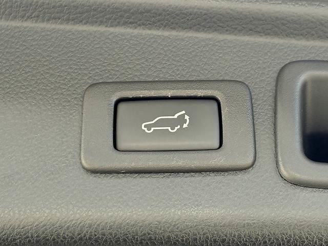 フォレスター ２．０ｉ－Ｓ　アイサイト　禁煙車　ルーフレール　ＥＴＣ　ＢＳＭ　ダイヤトーンサウンド７型ナビ　フルセグＴＶ　ＬＥＤヘッドライト　純正１８インチＡＷ　ハーフレザーシート　シートヒーター　ＸＭＯＤＥ　電動リアゲート　パワーシート（10枚目）