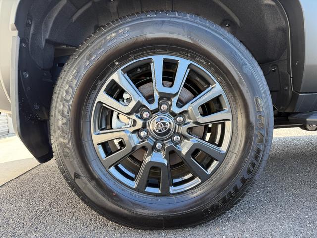 TOYOTA LAND CRUISER 250 VX