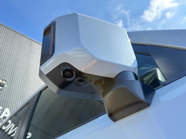 TOYOTA LAND CRUISER 250 VX