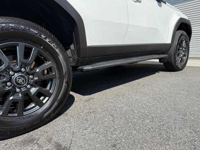 TOYOTA LAND CRUISER 250 VX