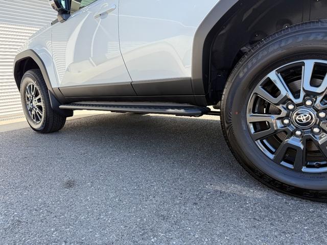 TOYOTA LAND CRUISER 250 VX