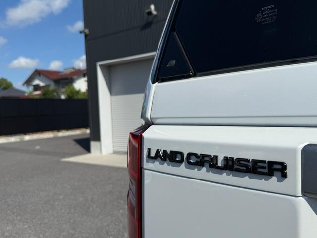 TOYOTA LAND CRUISER 250 VX