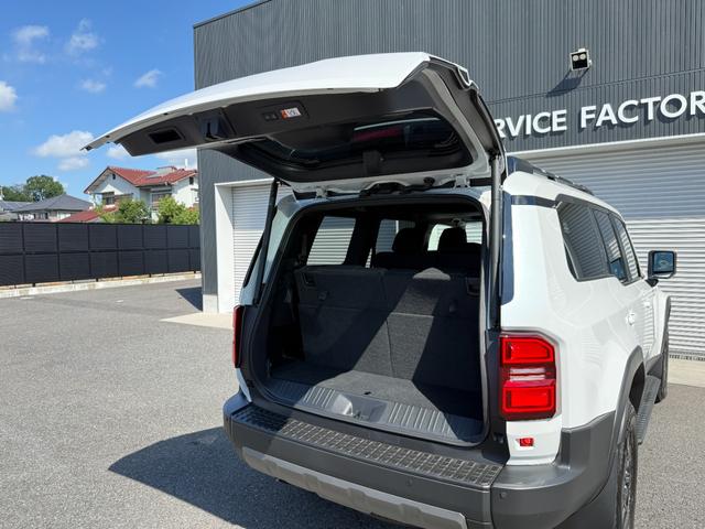 TOYOTA LAND CRUISER 250 VX