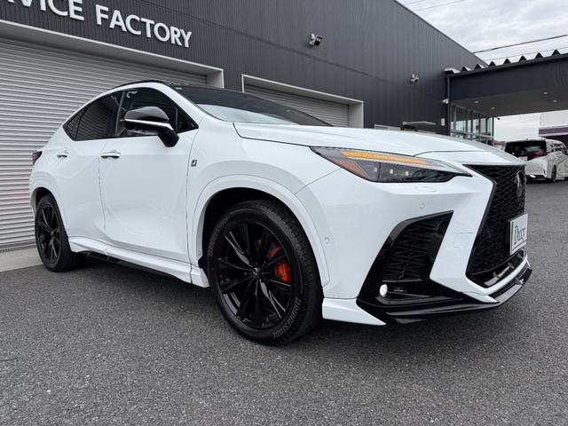 NX NX350h Fスポーツ デジタルインナーミラー ドラレコ前後 ルーフレール TRDエアロ パノラマルーフ オレンジキャリパー 寒冷地仕様(17枚目)