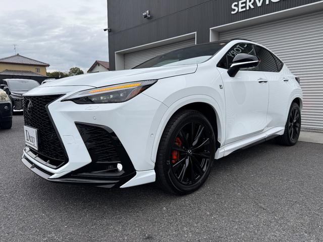 NX NX350h Fスポーツ デジタルインナーミラー ドラレコ前後 ルーフレール TRDエアロ パノラマルーフ オレンジキャリパー 寒冷地仕様(18枚目)