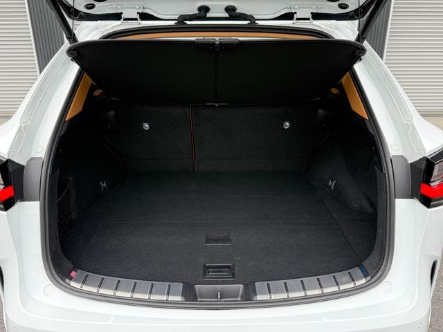 NX NX350h Fスポーツ デジタルインナーミラー ドラレコ前後 ルーフレール TRDエアロ パノラマルーフ オレンジキャリパー 寒冷地仕様(36枚目)