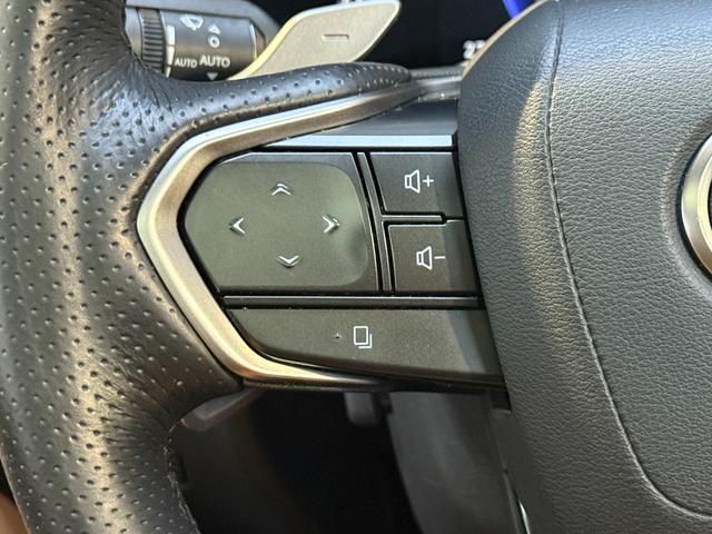 NX NX350h Fスポーツ デジタルインナーミラー ドラレコ前後 ルーフレール TRDエアロ パノラマルーフ オレンジキャリパー 寒冷地仕様(56枚目)