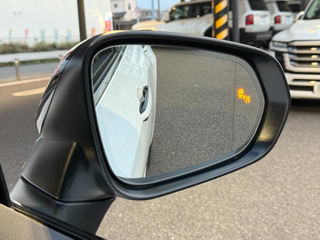 NX NX350h Fスポーツ デジタルインナーミラー ドラレコ前後 ルーフレール TRDエアロ パノラマルーフ オレンジキャリパー 寒冷地仕様(67枚目)