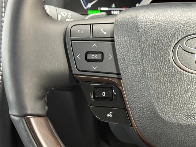 アルファードハイブリッド Ｚ　サンルーフ　チームメイト　モデリスタ　１３．２型後席モニター　ステップ　ＨＵＤ　デジタルミラー　１４型ディスプレイオーディオ　パノラミックビュー　ブラインドスポット　　シートクーラー　シートヒーター（59枚目）