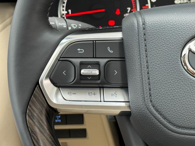 ランドクルーザー ＺＸ　モデリスタエアロフェンダー　ＪＢＬサウンド　リヤデフロック　ルーフレール　トノカバー　クールＢＯＸ　リアエンターテイメント　寒冷地仕様　空気圧センサー（59枚目）