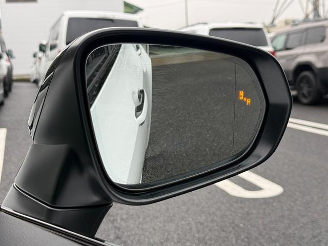 �����̕��������S���������I���ڂ����X�����Ȃ��Ă��A���d�b�E���[���݂̂ł��w�����\�ł����X���E�e�`�w�ŏ��ނ̑��t�A���q�̐i�s�󋵂��ʐ^�ł��`���o���܂���