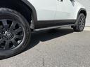 TOYOTA LAND CRUISER 250