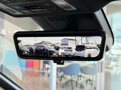 ǥ륤ʡߥ顼Ͼ㳲ʪγǧʤɤΩޤ 2