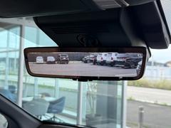 ǥ륤ʡߥ顼Ͼ㳲ʪγǧʤɤΩޤ 6