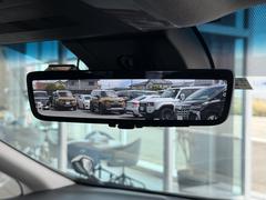 ǥ륤ʡߥ顼Ͼ㳲ʪγǧʤɤΩޤ 5