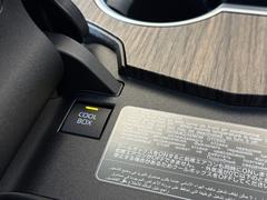 ������£ϣ��ա� 6