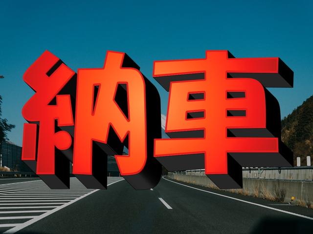 シボレーアストロ ＬＴ　ディーラー車　８ナンバー　４ＷＤ　ＬＴ　キャンピング登録　８ナンバー　ギブソンマフラー　Ｂｌｕｅｔｏｏｔｈ　バックカメラ　フリップダウンモニター　アルパインウーファー　ＴＹＣヘッドライト　キーレス（80枚目）