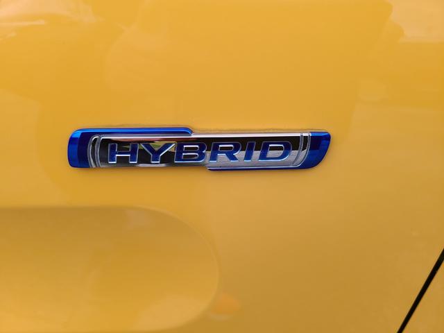 スペーシアギア ハイブリッドＸＺ　ＥＴＣ　全周囲カメラ　両側電動スライドドア　ナビ　クリアランスソナー　レーンアシスト　衝突被害軽減システム　オートライト　ＬＥＤヘッドランプ　スマートキー　アイドリングストップ　電動格納ミラー（24枚目）