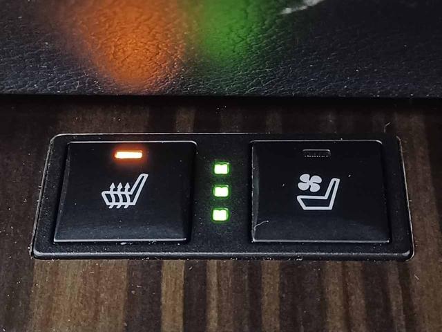 ＧＳ ＧＳ３５０　Ｉパッケージ　ベージュ革シート　サンルーフ　フロントベンチレーション＆パワーシート　純正ナビ　ＤＶＤ再生　ＵＳＢ　Ｂｌｕｅｔｏｏｔｈオーディオ　ＡＵＸ　フルセグ　バックモニター　リヤ電動シェード　リヤ手動シェード（55枚目）