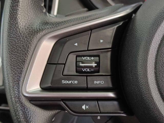 フォレスター Ｘ－エディション　アイサイトセーフティプラス　インテリキー　パイオニア製ナビ　Ｂｌｕｅｔｏｏｔｈ　フルセグ　バック＆サイド＆フロントカメラ　デジタルインナーミラー　ブラインドスポットモニター　シートヒーター（23枚目）