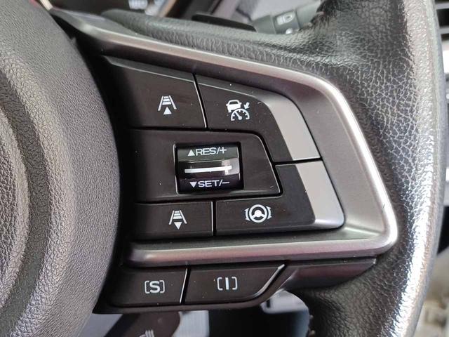 フォレスター Ｘ－エディション　アイサイトセーフティプラス　インテリキー　パイオニア製ナビ　Ｂｌｕｅｔｏｏｔｈ　フルセグ　バック＆サイド＆フロントカメラ　デジタルインナーミラー　ブラインドスポットモニター　シートヒーター（24枚目）