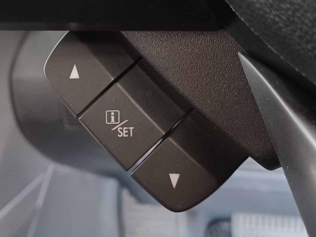 フォレスター Ｘ－エディション　アイサイトセーフティプラス　インテリキー　パイオニア製ナビ　Ｂｌｕｅｔｏｏｔｈ　フルセグ　バック＆サイド＆フロントカメラ　デジタルインナーミラー　ブラインドスポットモニター　シートヒーター（25枚目）