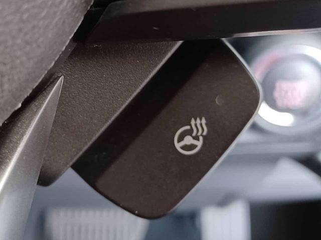 フォレスター Ｘ－エディション　アイサイトセーフティプラス　インテリキー　パイオニア製ナビ　Ｂｌｕｅｔｏｏｔｈ　フルセグ　バック＆サイド＆フロントカメラ　デジタルインナーミラー　ブラインドスポットモニター　シートヒーター（26枚目）