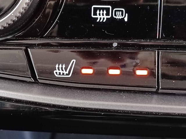 フォレスター Ｘ－エディション　アイサイトセーフティプラス　インテリキー　パイオニア製ナビ　Ｂｌｕｅｔｏｏｔｈ　フルセグ　バック＆サイド＆フロントカメラ　デジタルインナーミラー　ブラインドスポットモニター　シートヒーター（45枚目）