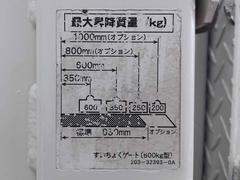 デュトロ 全低床　新明和　垂直パワーゲート付　リフト能力６００ＫＧ　２ｔ積 0206517A30240427W002 2