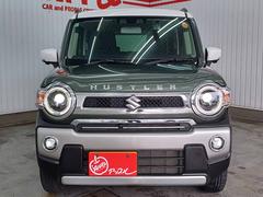 ϥ顼 ʥ륿ܡͷڸ֥졼ɥ쥳̥˥ʥ 0206517A30251201W002 2