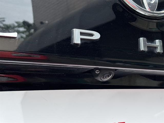 アルファード Z ドライブレコーダー 全周囲カメラ ナビ TV クリアランスソナー オートクルーズコントロール レーンアシスト パークアシスト 衝突被害軽減システム 両側電動スライドドア オートマチックハイビーム(20枚目)