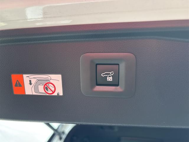 アルファード Z ドライブレコーダー 全周囲カメラ ナビ TV クリアランスソナー オートクルーズコントロール レーンアシスト パークアシスト 衝突被害軽減システム 両側電動スライドドア オートマチックハイビーム(25枚目)