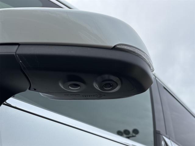 アルファード Z ドライブレコーダー 全周囲カメラ ナビ TV クリアランスソナー オートクルーズコントロール レーンアシスト パークアシスト 衝突被害軽減システム 両側電動スライドドア オートマチックハイビーム(32枚目)