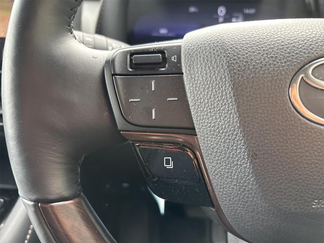 アルファード Z ドライブレコーダー 全周囲カメラ ナビ TV クリアランスソナー オートクルーズコントロール レーンアシスト パークアシスト 衝突被害軽減システム 両側電動スライドドア オートマチックハイビーム(47枚目)