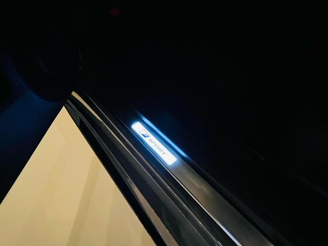 ＩＳ ＩＳ５００　Ｆスポーツパフォーマンス　ファーストエデション　マークレビンソン　サンルーフ　ローダウンサスペンション　オレンジキャリパー　エアロダイナミスクミラー　フロアマット　鍛造１９インチホイール　純正エンジンスターター　リアスポイラー（67枚目）