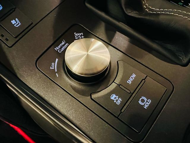 ＩＳ ＩＳ５００　Ｆスポーツパフォーマンス　マークレビンソン　新品ＲＳＲ車高調　ワイトレ　寒冷地仕様　ムーンルーフ　ワンオーナー禁煙車　オプションカラー　オレンジキャリパー　ナビ　テレビ　ＥＴＣ　パノラマビュー　新車保証（56枚目）