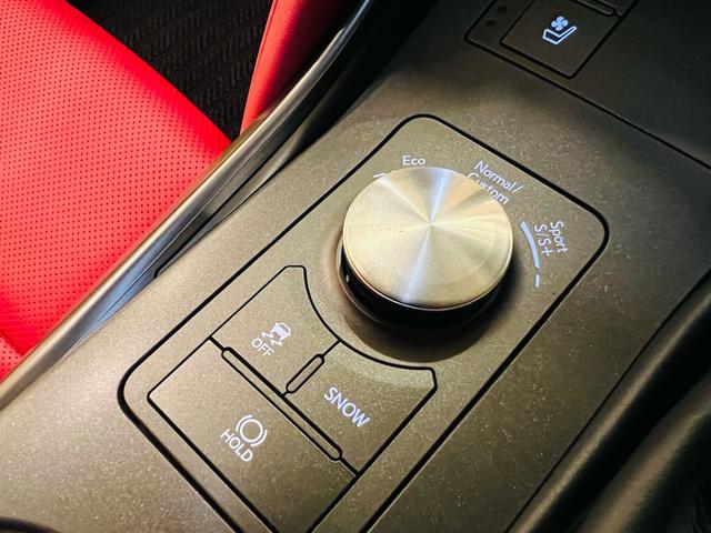 IS IS500 Fスポーツパフォーマンス 2025model OPマークレビンソン トムスマフラー トムスカーボンフルエアロ トムスカーボントランクスポイラー OPサンルーフ OPオレンジキャリパー OP TRDミラー 新車保証(54枚目)