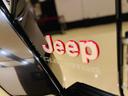 CHRYSLER JEEP JEEP OTHER