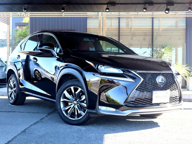 ＮＸ ＮＸ２００ｔ　Ｆスポーツ　ワンオーナー車／ＯＰ３６０度カメラ／ＯＰブラインドスポットモニター／ＯＰ衝突軽減＆追従機能／ＯＰクリアランスソナー／ドラレコ／シートヒーター＆クーラー／ステアリングヒーター／Ｂｌｕｅｔｏｏｔｈ／ＥＴＣ（13枚目）