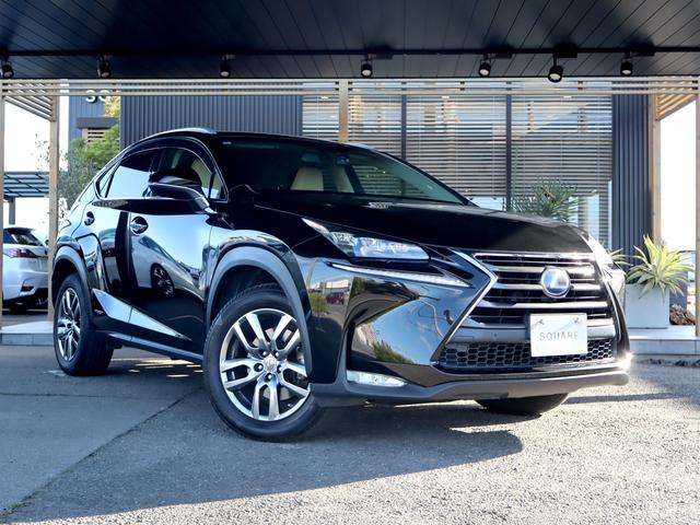 NX NX300h バージョンL OP衝突軽減&追従機能/OPクリアランスソナー/三眼LEDヘッドライト/パワートランク/18インチ/シートヒーター&クーラー/ハンドルヒーター/前後ドラレコ/TVキャンセラー/Bluetooth(13枚目)