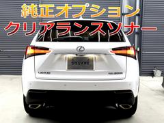 �Σ� �Σأ����������ɥѥå����������������ե륪�ס��ƥ��ݡ��Ļ��ͥ���롡�ϣУ�������� 0206615A30251125W001 4