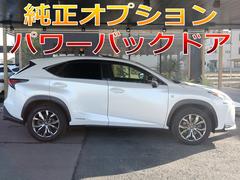 Σ Σأ衡ƥݡġϣХ롼աԣңģܽФޥե顼ꥢǥե塼ϣлإåɥ饤 0206615A30251130W002 3