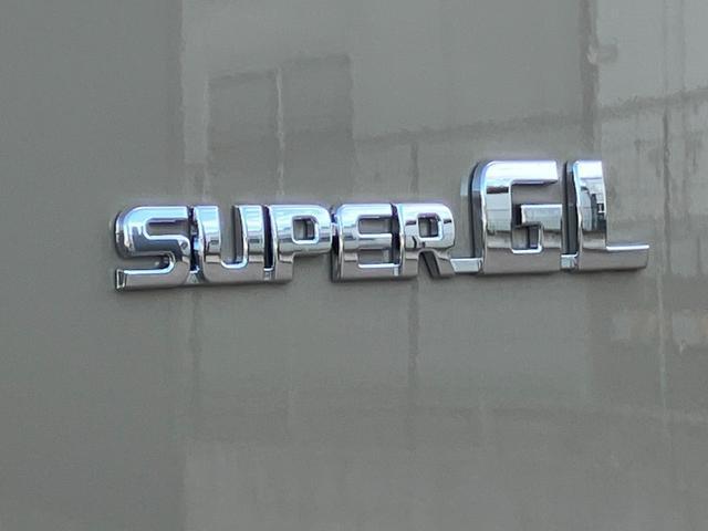 ハイエースバン ロングスーパーＧＬ　新車未登録／アースカラーＰＫＧ／ＡＬＰＩＮＥ　ＢＩＧＸ／ＨＤＭＩ／ＥＴＣ／Ｂカメラ／両側電動スライドドア／パノラミックビューＭ／デジタルインナーＭ／ＪＡＯＳバンパーガード／１６ｉｎＡＷ／ベッドキット（38枚目）