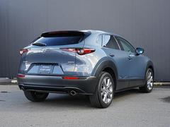 �ʤ���ޤ줿����ӥ󤫤��礭��ĥ��Ф����ե���������礭�����Ӥ줿�ꥢ�����Ȥʤɡ��ű�����Ϥ���ꥢ�ӥ塼�ȤʤäƤ��ޤ��� 2