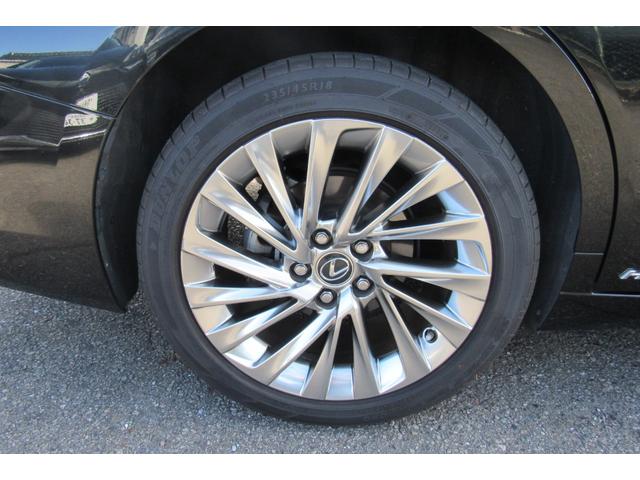 ES ES300h バージョンL 禁煙/黒革シート/サンルーフ/純正SDナビ/フルセグTV/Bluetooth/全周囲カメラ/ETC/ドラレコ/パワートランク/OPリアスポイラー/シートヒーター/シートエアコン/BSM/HUD/LSS(55枚目)