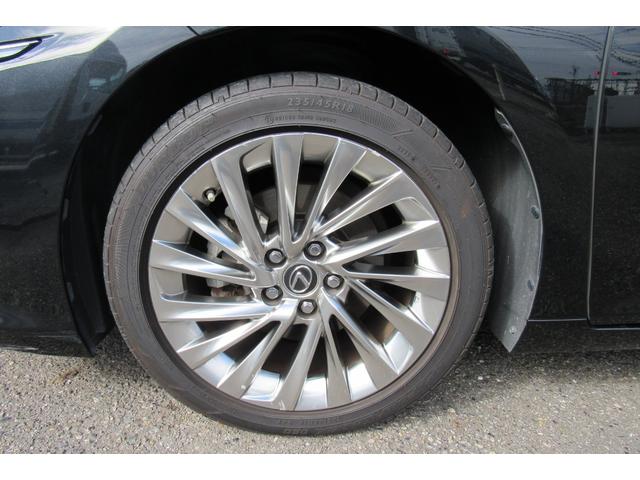 ES ES300h バージョンL 禁煙/黒革シート/サンルーフ/純正SDナビ/フルセグTV/Bluetooth/全周囲カメラ/ETC/ドラレコ/パワートランク/OPリアスポイラー/シートヒーター/シートエアコン/BSM/HUD/LSS(56枚目)