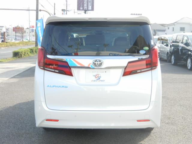 2.5X BIGXフルセット 両側電動 サンルーフ Dミラー(14枚目)