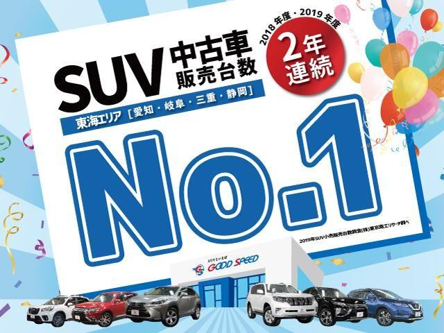 SC PKG SR Dミラー ITS Dオーディオ 三眼(61枚目)